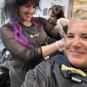 Aveda Full Spectrum Permanent Vegan Pure Tone Hair Color Light Y Aveda Full Spectrum Permanent Vegan Pure Tone Hair Color Light Y