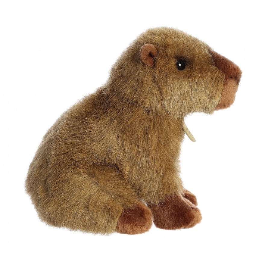 AURORA Miyoni Plīša Kapibara, 20 cm – 2