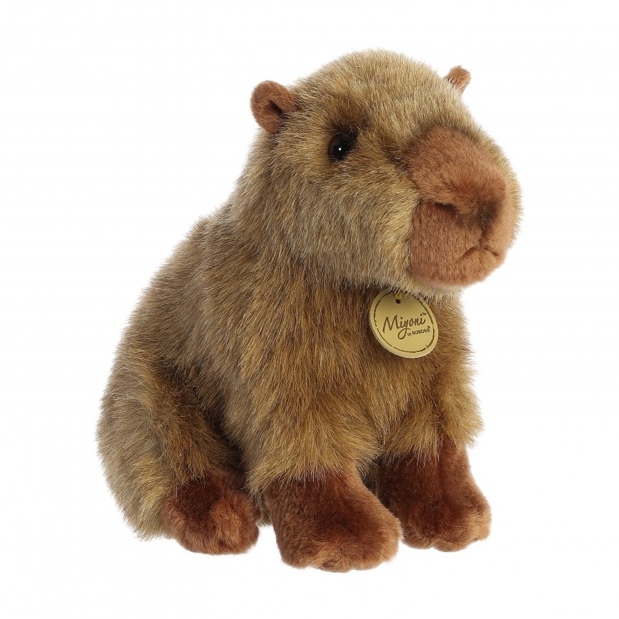 AURORA Miyoni Plīša Kapibara, 20 cm – 4