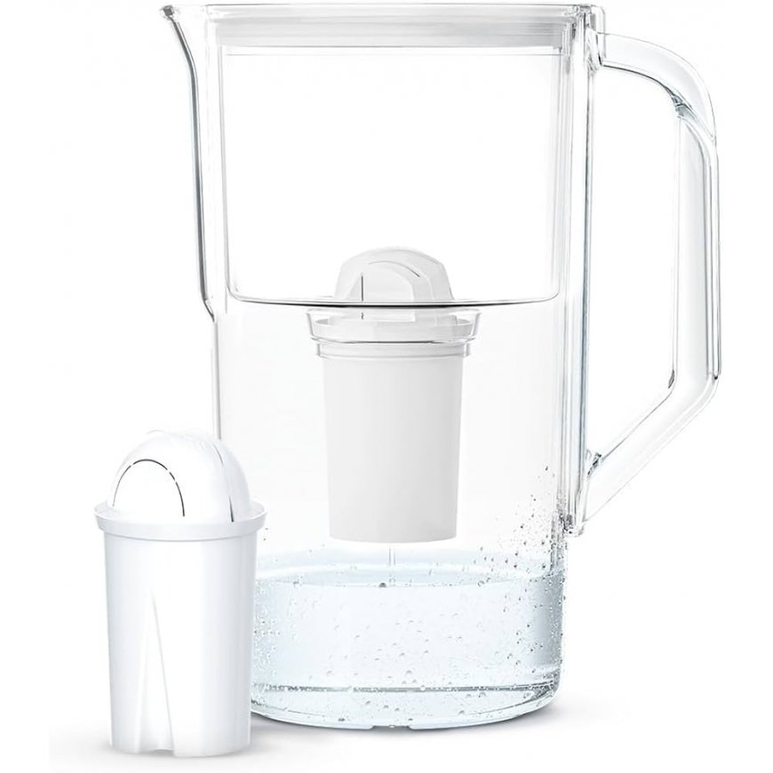 Aquaphor Standard 2.5L Water Filter