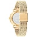 Naisten kello TOMMY HILFIGER 1782728 PIPPA + BOX