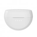 Belkin SoundForm Rhythm Ausinės Bevielis Įkišamos į ausį Skambučiai / muzika Mikro USB Bluetooth Bal Belkin SoundForm Rhythm Ausinės Bevielis Įkišamos į ausį Skambučiai / muzika Mikro USB Bluetooth Bal