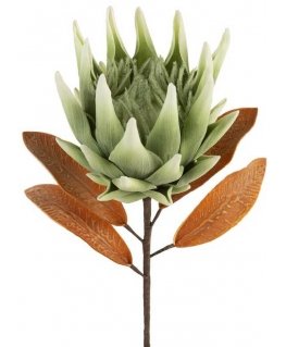 Eurofirany KW/FLORE/792/SEE SOUL