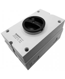 Beny AC switch 4P, 63A, 230VAC, IP65