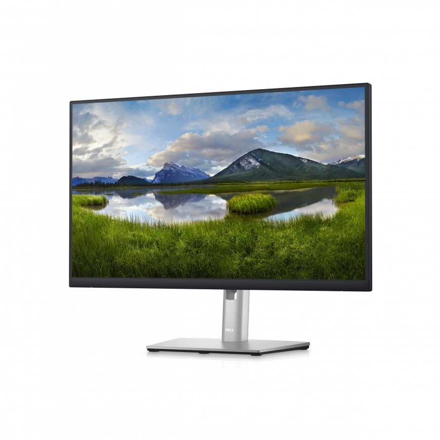 DELL P Series P2423D LED display 60,5 cm (23.8") 2560 x 1440 пикселей Quad HD ЖК Черный – 2