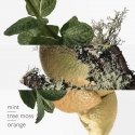 Hermes Eau d'Orange Verte odekolonas 50 ml Vyrams