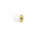 Tracer 47584 White Shredder Tracer 47584 White Shredder