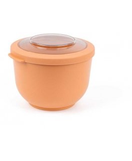 Amuse Talpykla, dubuo Tylla 1,2 L - Persikas