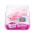 Pets Alive Swimming Axolotls By ZURU Pets Alive Swimming Axolotls By ZURU