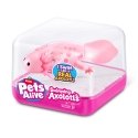Pets Alive Swimming Axolotls By ZURU Pets Alive Swimming Axolotls By ZURU
