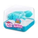 Pets Alive 9556 vannimäng, -mänguasi ja -kleeps Vannimängufiguur Erinevad värvid Pets Alive 9556 vannimäng, -mänguasi ja -kleeps Vannimängufiguur Erinevad värvid