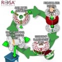 3D plastic PCTG gray 1.75mm 1kg refill pack Rosa3D 3D plastic PCTG gray 1.75mm 1kg refill pack Rosa3D