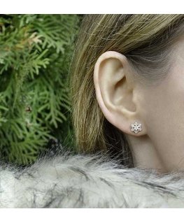 Beneto Žaismingi sidabriniai auskarai AGUP2750 Snowflake