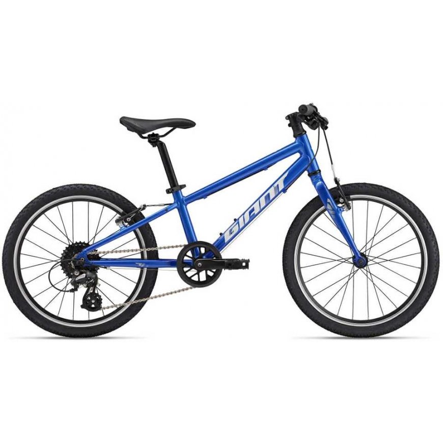 Giant Children`s bike Giant ARX 20