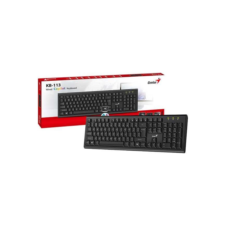 Genius KB-113 COPILOT, keyboard CZ/SK, classic, with cable (USB), black – 3