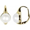 Jwl Luxury Pearls Gold-plated earrings with real pearls JL0532 Jwl Luxury Pearls Gold-plated earrings with real pearls JL0532