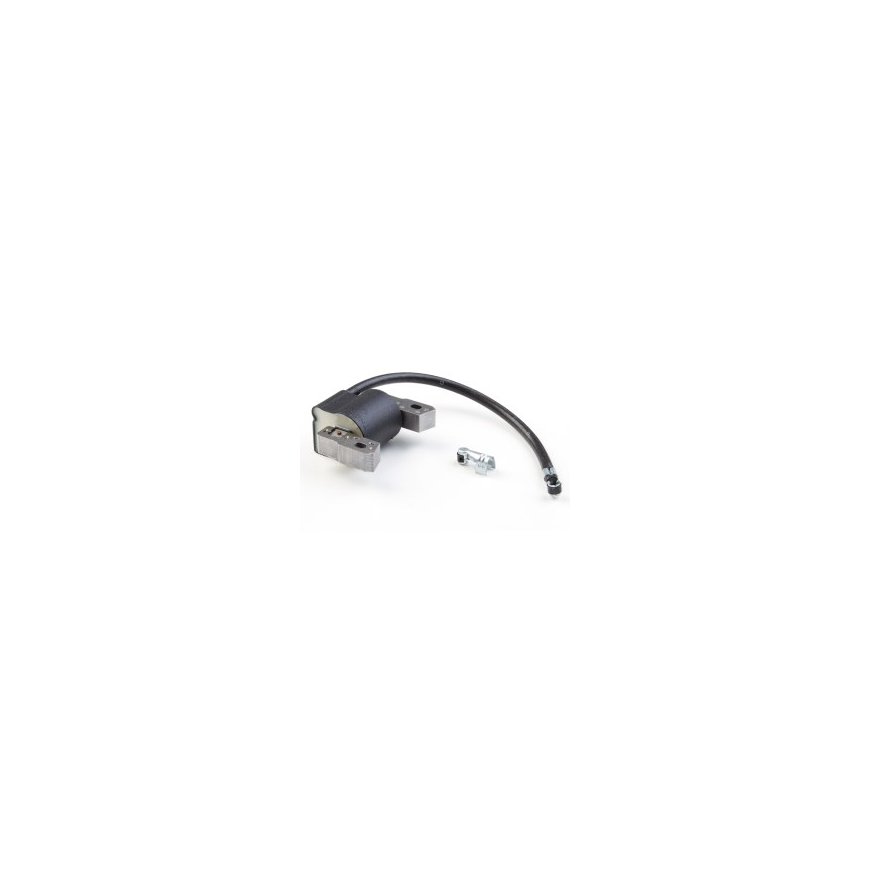 Carburetor Briggs & Stratton 84001032 – 2