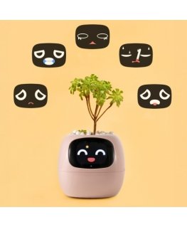 PlantsIO IVY Różowa