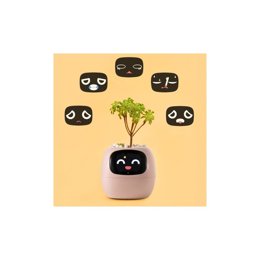 PlantsIO IVY Różowa