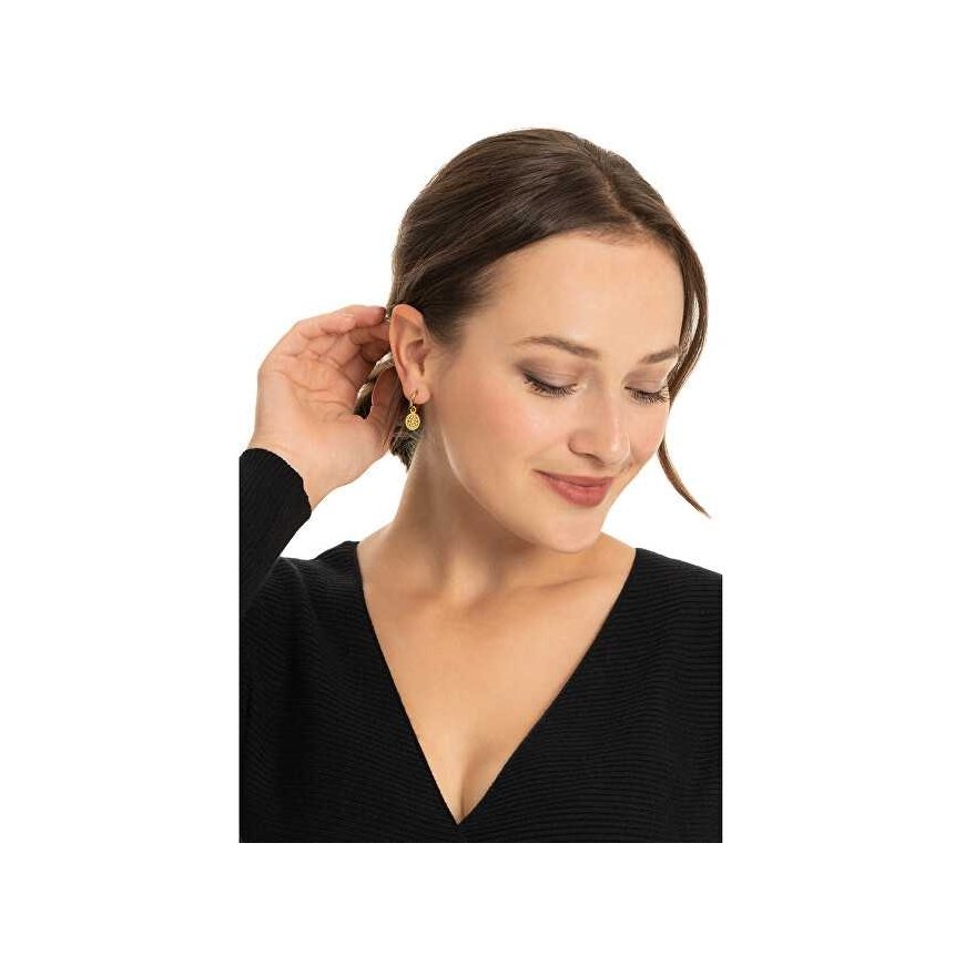 Troli Decent kullatut korvarenkaat 2-in-1 VABRAE019G – 2