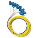 Qoltec 12 x SC/UPC šviesolaidinė košė | Vienmodis | G657A2 | 2 m Qoltec 12 x SC/UPC šviesolaidinė košė | Vienmodis | G657A2 | 2 m