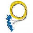 Qoltec 12 x SC/UPC šviesolaidinė košė | Vienmodis | G657A2 | 2 m Qoltec 12 x SC/UPC šviesolaidinė košė | Vienmodis | G657A2 | 2 m