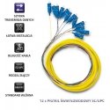 Qoltec 12 x SC/UPC-kuituoptinen kytkentäkaapeli | Yksimuotoinen | G657A2 | 2 vuotta Qoltec 12 x SC/UPC-kuituoptinen kytkentäkaapeli | Yksimuotoinen | G657A2 | 2 vuotta