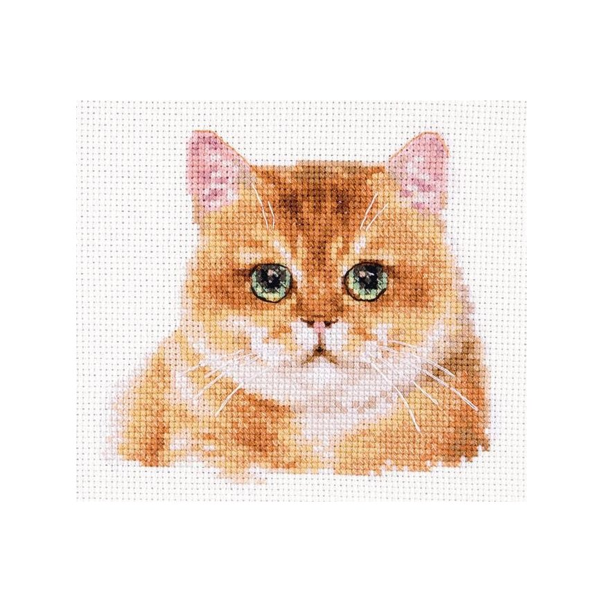 Beldizart Cross stitch kit "Teddy bear cat" S1-36