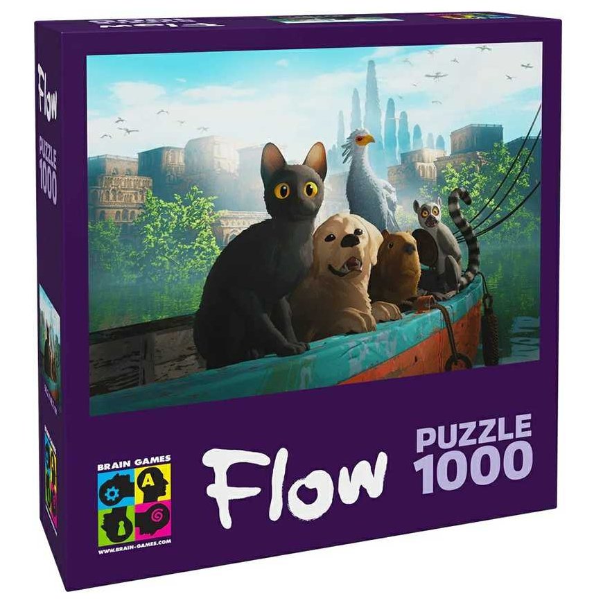 Brain Games Puzzle Brain Games FLOW