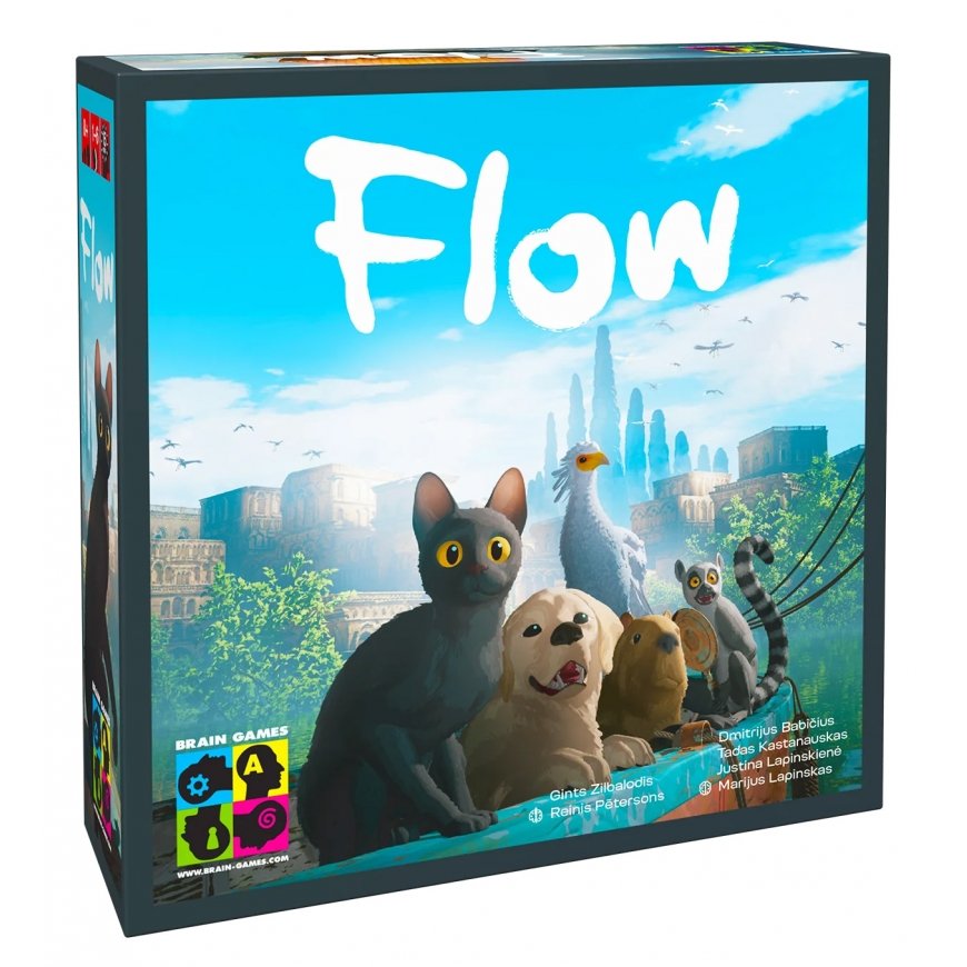 Brain Games Flow