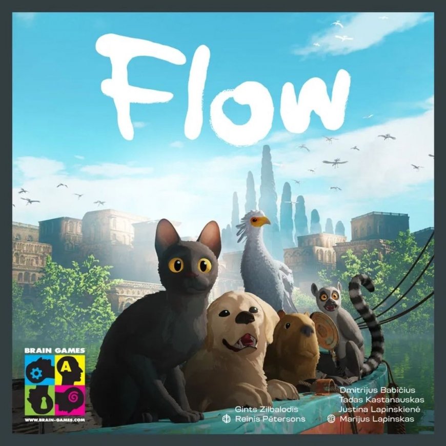 Brain Games Flow – 2