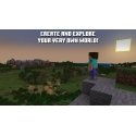 Nintendo Minecraft : Switch Edition Multilingual Nintendo Switch