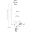 Techly ICA-CPLB 922L kyltin näyttökiinnike 106,7 cm (42") musta