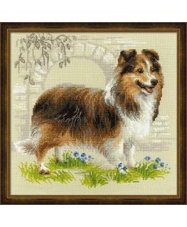 Uab Riolis Sheltie SR1710