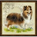 Uab Riolis Sheltie SR1710 Uab Riolis Sheltie SR1710