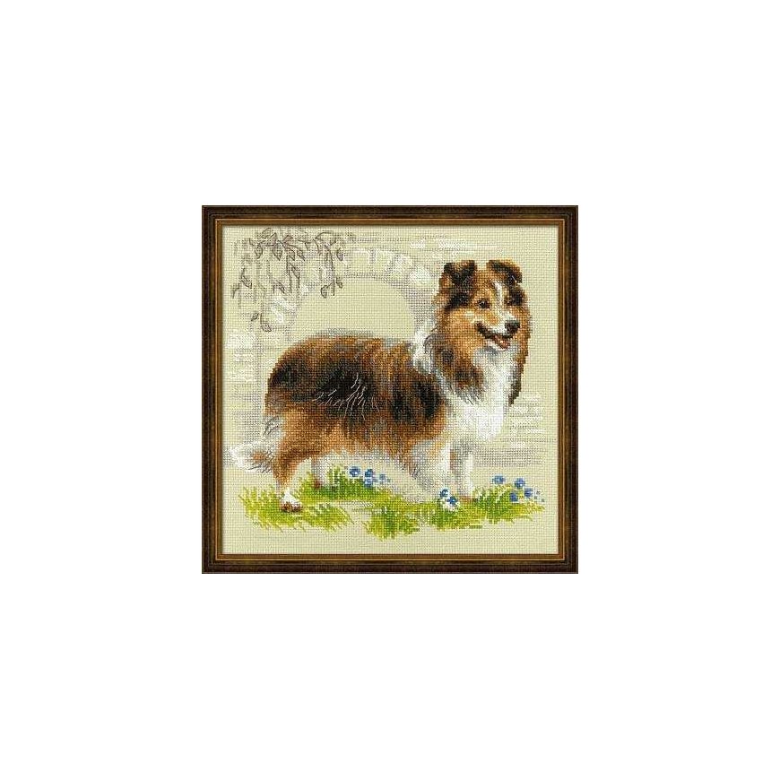 Uab Riolis Sheltie SR1710 – 2