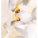 Dior J'Adore 30 ml Naised
