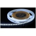 Mw Lighting LED-nauha LED120-12V/9.6W-CW/5M - 16000 K MW Lighting Mw Lighting LED-nauha LED120-12V/9.6W-CW/5M - 16000 K MW Lighting