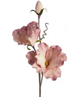 Eurofirany KW/FLORE/791/K K+Pink