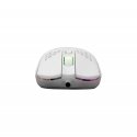 White Shark GALAHAD White hiiri Pelaaminen Molempikätinen USB A-tyyppi Optinen 7200 DPI