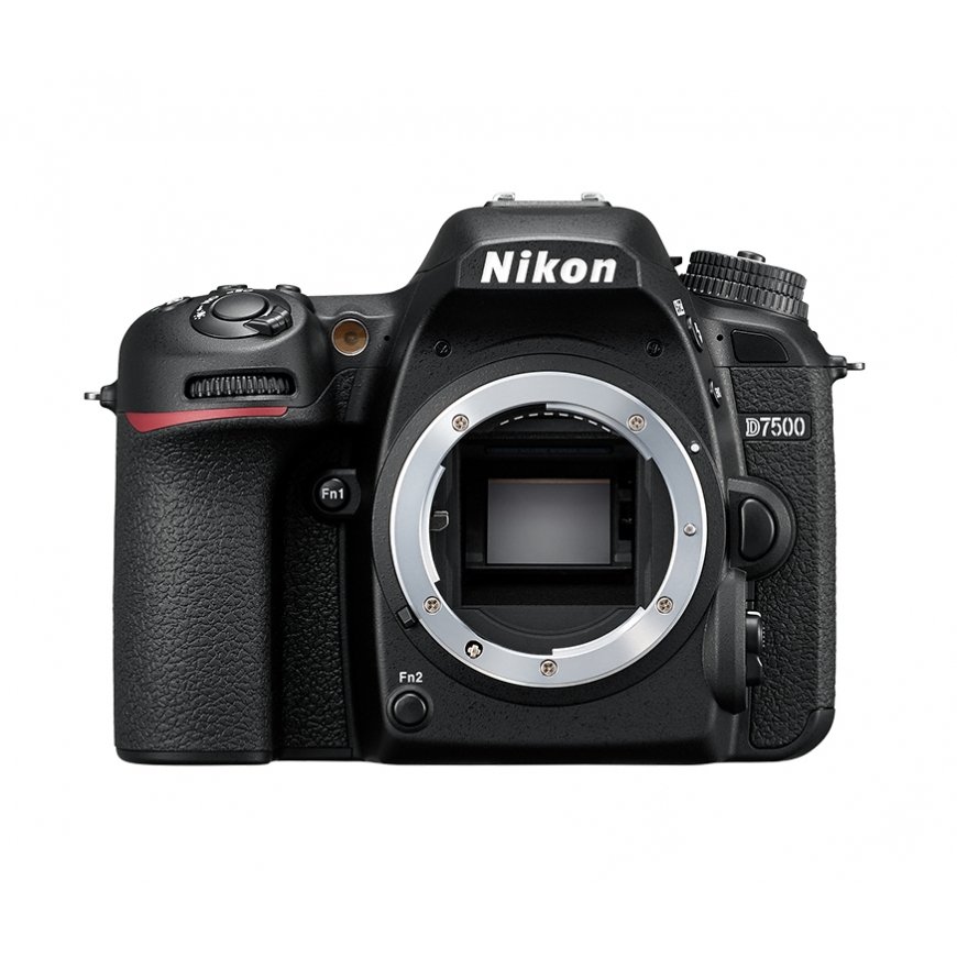 Nikon D7500 + AF-S DX NIKKOR 18-105 VR – 2