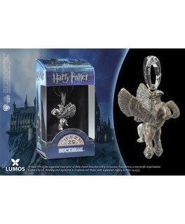 Noble Collection Harry Potter Hiekkanokka-riipus