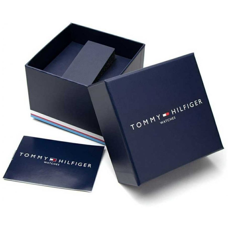 MEN'S WATCH TOMMY HILFIGER 1791861 Aiden (zf095a) + BOX – 4