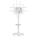 Techly ICA-TR55 TV mount/stand 2.18 m (86") White