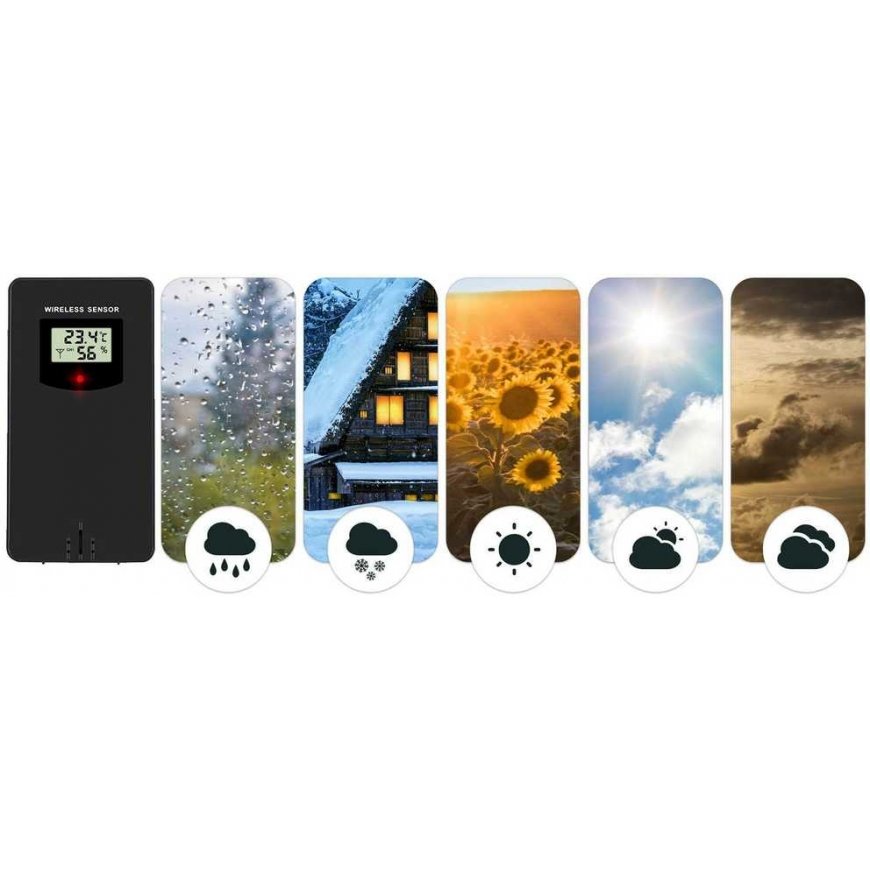 Berdsen weather station transmitter, black – 3