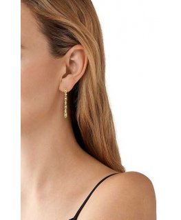 Michael Kors Miss You -kullatut korvakorut MKC171000710