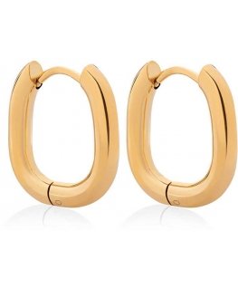 Troli Decent Gold Plated Oval Earrings VBE0147G