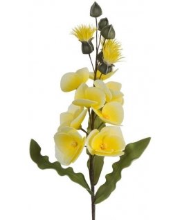 Eurofirany KW/FLORE/806/Yellow Yellow