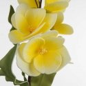 Eurofirany KW/FLORE/806/Yellow Yellow Eurofirany KW/FLORE/806/Yellow Yellow