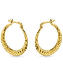 Again Jewelry Stylish gold-plated hoop earrings AJNS0063
